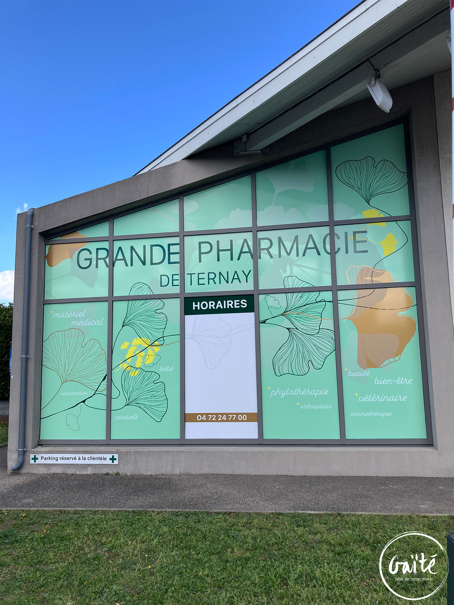 Grande pharmacie de Ternay – (sud de Lyon)