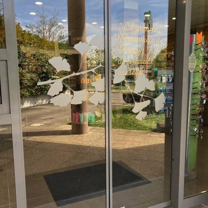 design mural pharmacie lyon