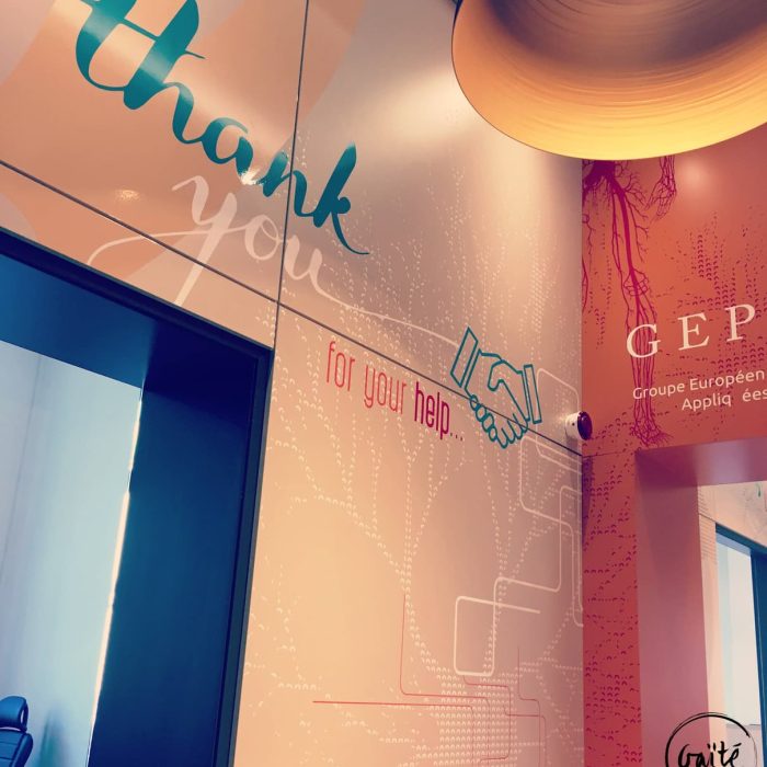 vitrophanie et design mural hôpital