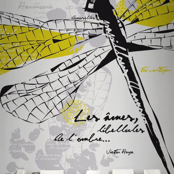 libellule salle attente vitrophanie