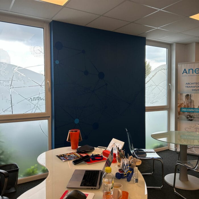 2-designmural-vitrophanie-anetys-labogaite