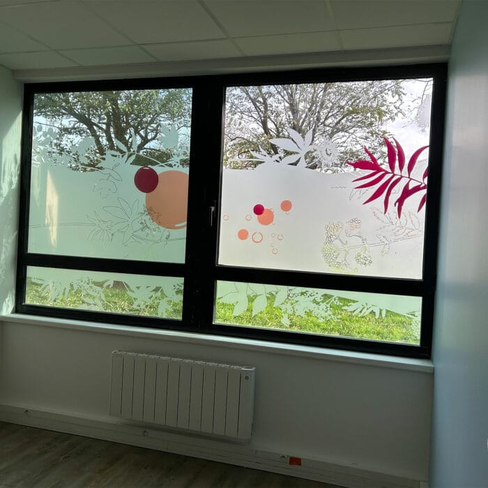 11-signaletique-vitrophanie-veterinaire-physioveto-labogaite