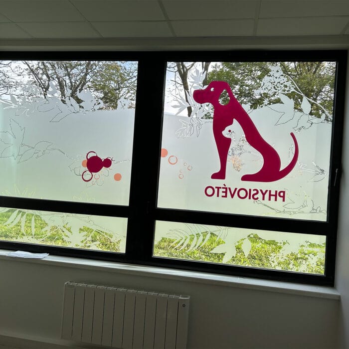 12-signaletique-vitrophanie-veterinaire-physioveto-labogaite