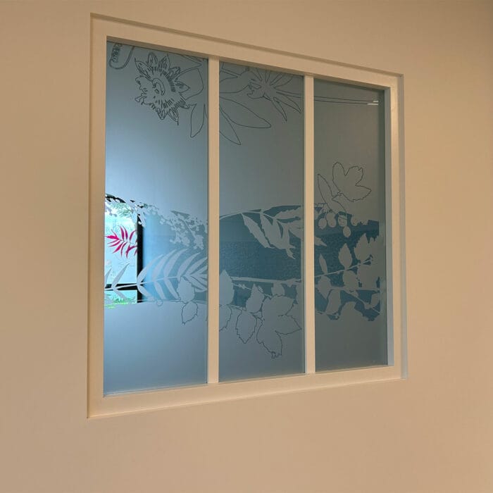 13-signaletique-vitrophanie-veterinaire-physioveto-labogaite