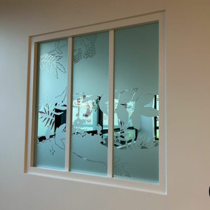 14-signaletique-vitrophanie-veterinaire-physioveto-labogaite