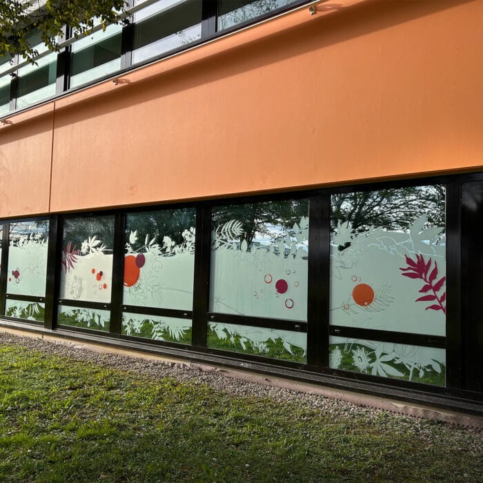 2-signaletique-vitrophanie-veterinaire-physioveto-labogaite