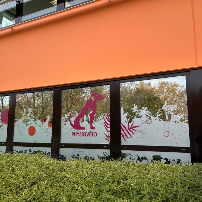 4-signaletique-vitrophanie-veterinaire-physioveto-labogaite