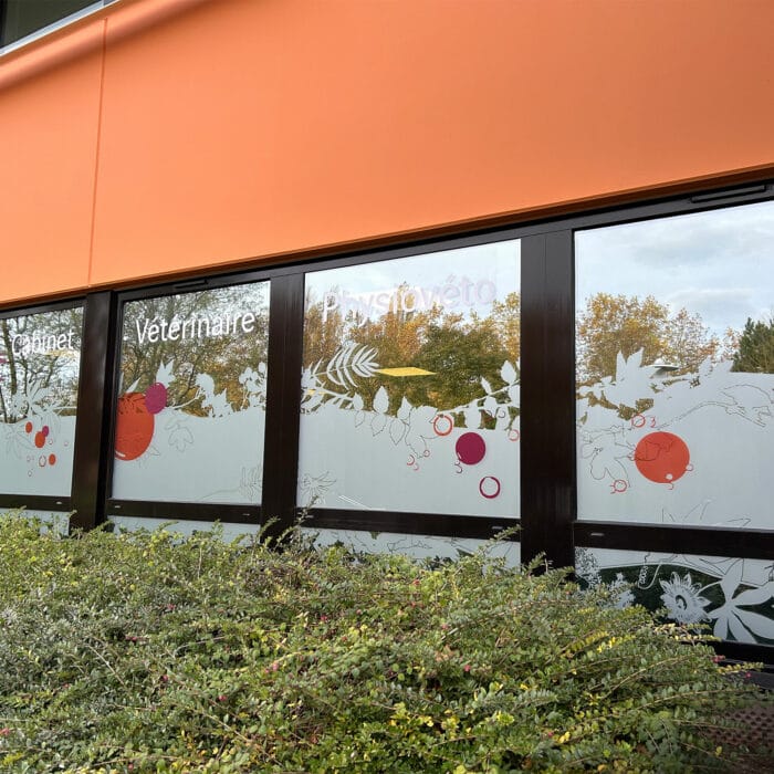 5-signaletique-vitrophanie-veterinaire-physioveto-labogaite