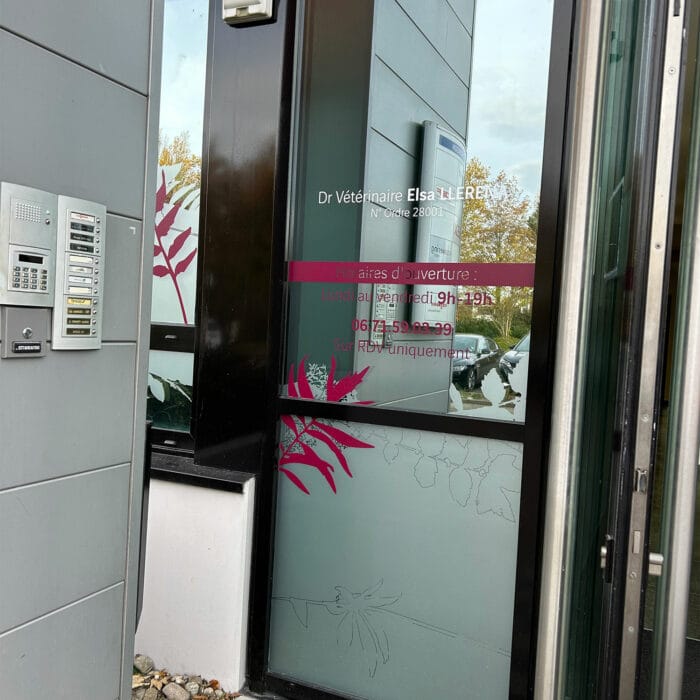 6-signaletique-vitrophanie-veterinaire-physioveto-labogaite