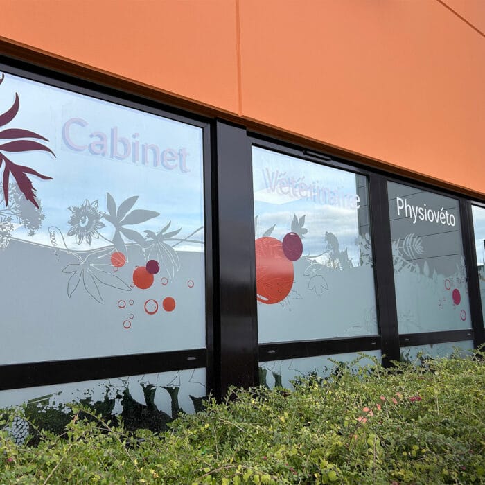 7-signaletique-vitrophanie-veterinaire-physioveto-labogaite