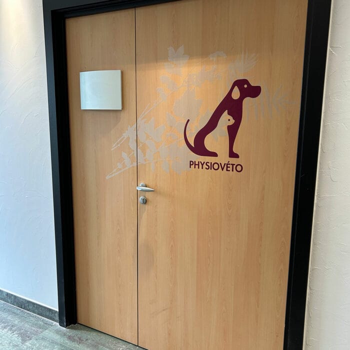 9-signaletique-vitrophanie-veterinaire-physioveto-labogaite